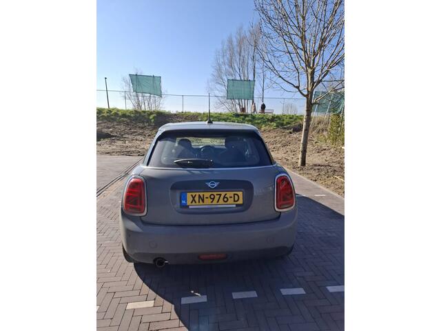 Mini ONE Mini 1.5 Salt