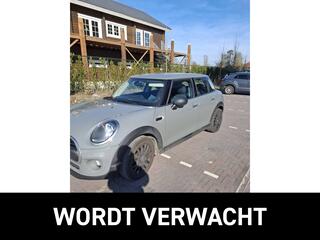 mini-one-mini-1.5-salt
