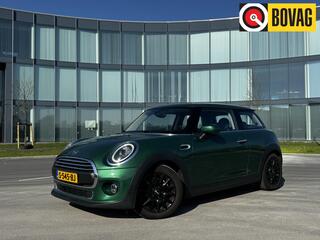 mini-one-mini-1.5-chili-apple-carpl