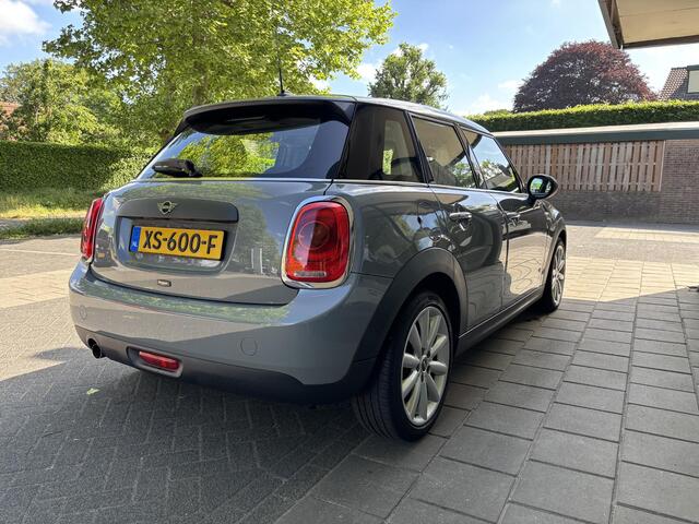 Mini ONE Mini 1.5 Salt