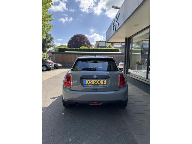 Mini ONE Mini 1.5 Salt