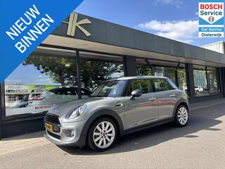mini-one-mini-1.5-salt