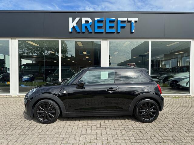 Mini ONE Mini 1.5 Pepper Blackpack