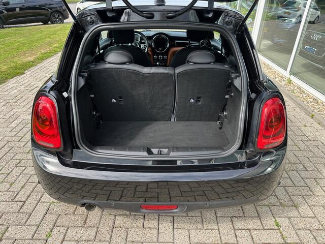 Mini ONE Mini 1.5 Pepper Blackpack