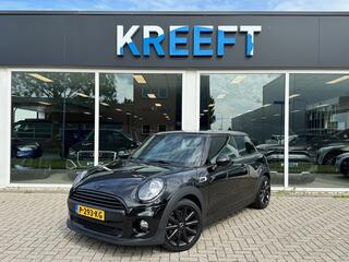 mini-one-mini-1.5-pepper-blackpack
