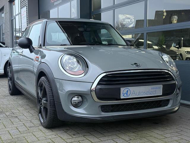 Mini ONE Mini 1.5 Salt Business Navi Cruise PDC