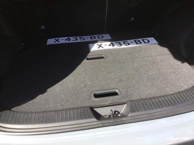 Nissan QASHQAI 1.5 e-Power Tekna