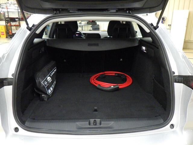 Opel ASTRA Electric 54 kWh Business Edition Winter pakket