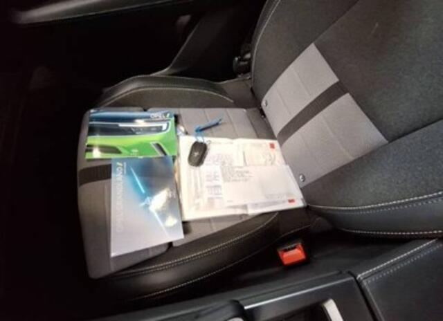 Opel Grandland 1.2 Turbo Hybrid GS Winter pakket / camera / ecc.
