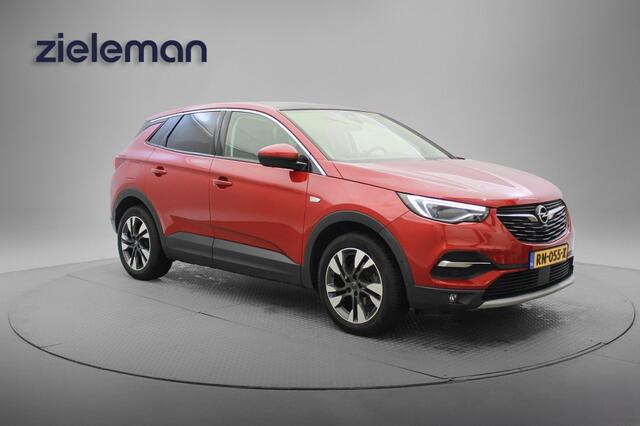 Opel Grandland X 1.2 Turbo Business Executive - Panorama, Carplay, Navi, Cruise, Half Leer