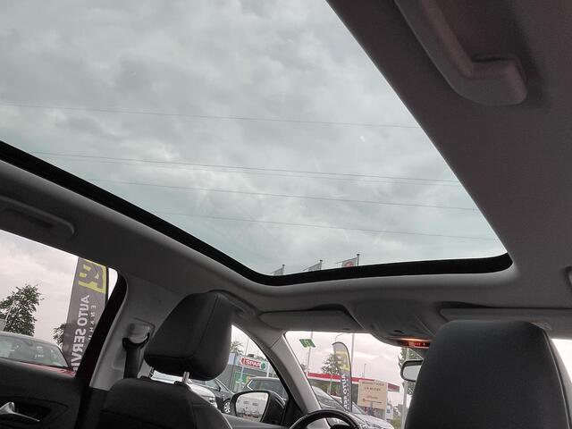 Opel Grandland X 1.2 Turbo Business Executive Dealer ond. incl. Service en 6m garantie | NW 18"LMV | Distr. v.v. | PANDO DAK | LED | Carplay | LMV | Cruise | AGR