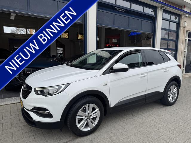 Opel Grandland X 1.2 Turbo Business + NL AUTO/TOPSTAAT