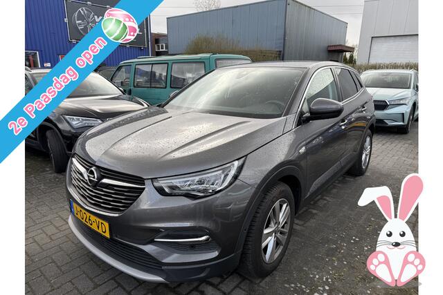 Opel Grandland X BWJ 2020 1.2 130 PK Turbo Business Executive NIEUW BINNEN !!