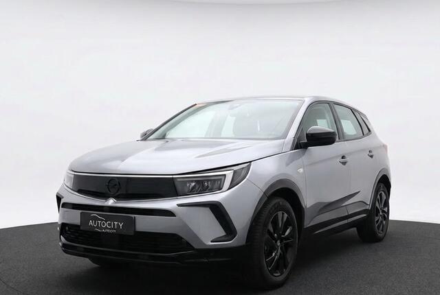 Opel Grandland X 1.2 Turbo AT8 GS Line Winterpakket l Camera l Adaptive
