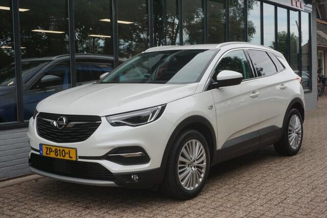 Opel Grandland X 1.2 Turbo Business Executive Trekhaak/Camera!