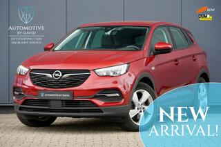 Opel Grandland X 1.6 TURBO 229 pk HYBRID BUSINESS AUTOMAA