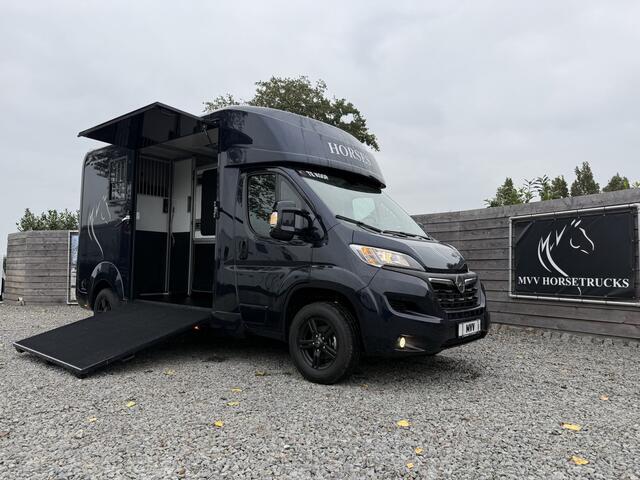 Opel MOVANO Paardenwagen AKX 3XL | HENGST | 10.800KM | 2023 | B-RIJBEWIJS