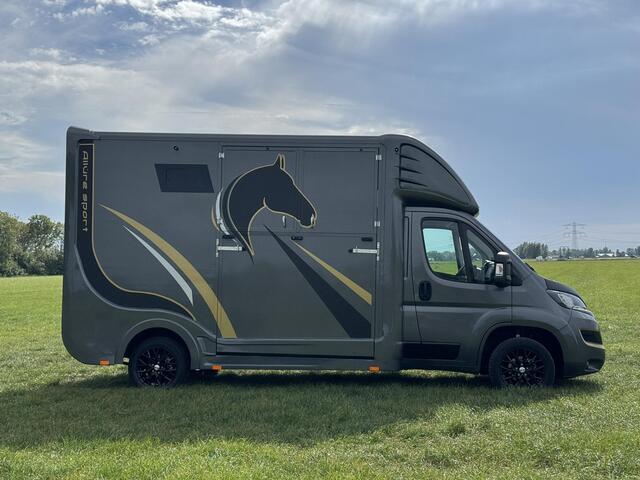 Peugeot BOXER Allure Sport Paardenwagen | Hengsten uitvoering | Ventilatie | Zijramen | Camera | Leder