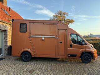 peugeot-boxer-paardenwagen-mvv-3xl-