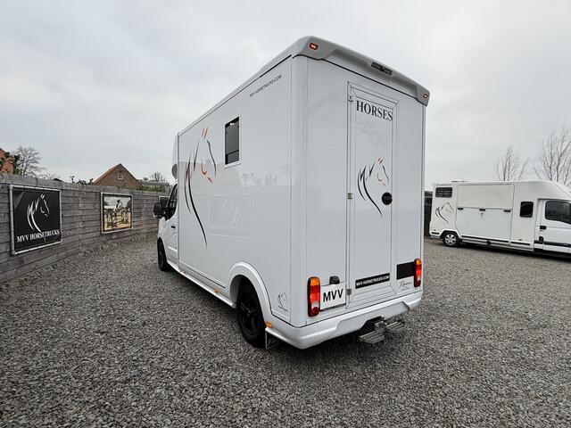 Renault MASTER HORSETRUCK ROELOFSEN 3XL | 2024 | HENGST | 56.000KM | 3-SEAT | LEER | CAMERA | BELGISCH KENTEKEN