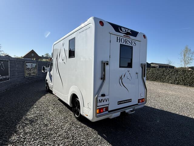 Renault MASTER | HORSETRUCK | STX | STALLION 3XL | 2017 | HENGST | 81.501KM | AUTOMAAT | 3-SEAT | 170PK | L3 | LUXEMBURG KENTEKEN