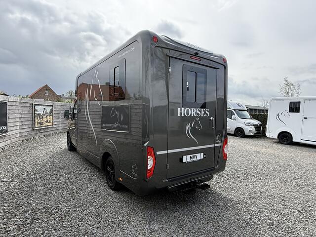 Renault MASTER | HORSETRUCK | STX | STALLION 5XL | 2023 | 69.500KM | DUB CAB | HENGST | VERLENGD | 5-SEAT | L3 | SUPERDELUXE | BELGISCH KENTEKEN