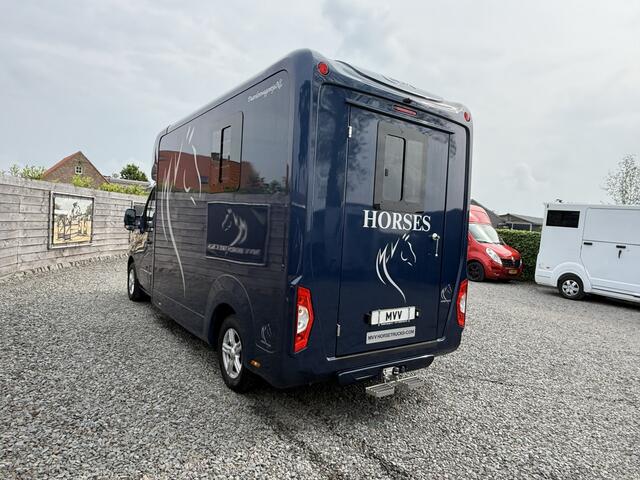 Renault MASTER | HORSETRUCK | STX | STALLION 3XL | 2022 | 13.330KM | HENGST | MANUEL | 165PK | 3-SEAT | L3 | LUXE | NL KENTEKEN