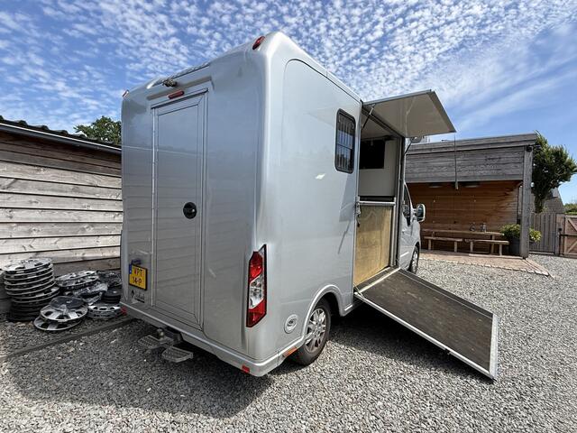 Renault MASTER | HORSETRUCK | SODIAK | STALLION 3XL | 2021 | HENGST | MANUEL | 3-SEAT | | NL KENTEKEN