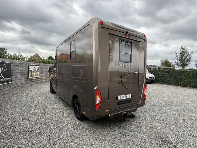 Renault MASTER | HORSETRUCK | STX | STALLION 3XL | 2020 | HENGST | 65.670KM | 3-SEAT | MANUAL | L3 | 165PK | LUXE | BELGISCH KENTEKEN