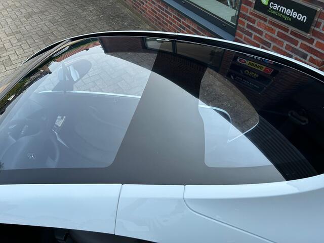 Renault Twizzy Intens (ex Accu) / Glazen dak/ PDC achter/Ramen 