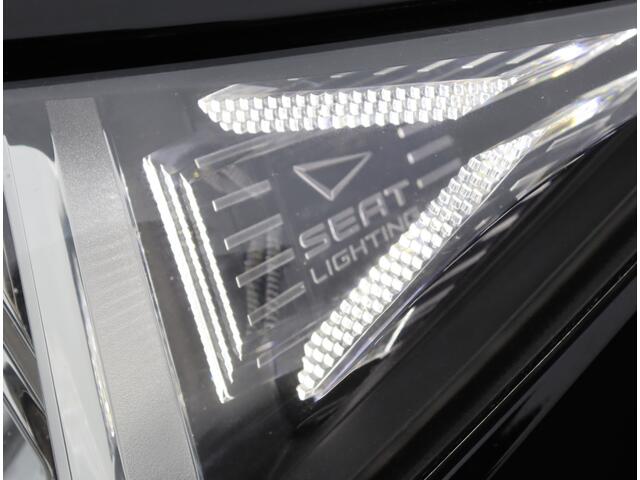 Seat IBIZA 1.0 TSI FR Business Intense | Virtual | ACC | Keyless | Camera | NAP