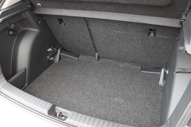 Skoda FABIA 1.0 TSI Business Edition Black Edition
