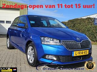 skoda-fabia-1.0-tsi-ambition,-cruis