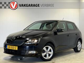 skoda-fabia-1.2-tsi-joy--parkeerse