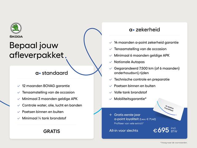 Skoda FABIA 1.0 TSI Business Edition 95 pk | Verlengde garantie | Navigatie via App | Parkeersensoren | Achteruitrijcamera | Stoelverwarming |