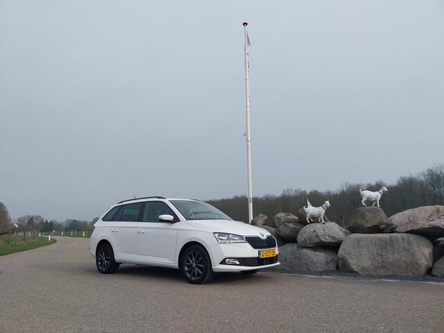 Skoda FABIA Combi 1.0 TSI Edition 1e EIGENAAR LED NAVI CRUISE ECC