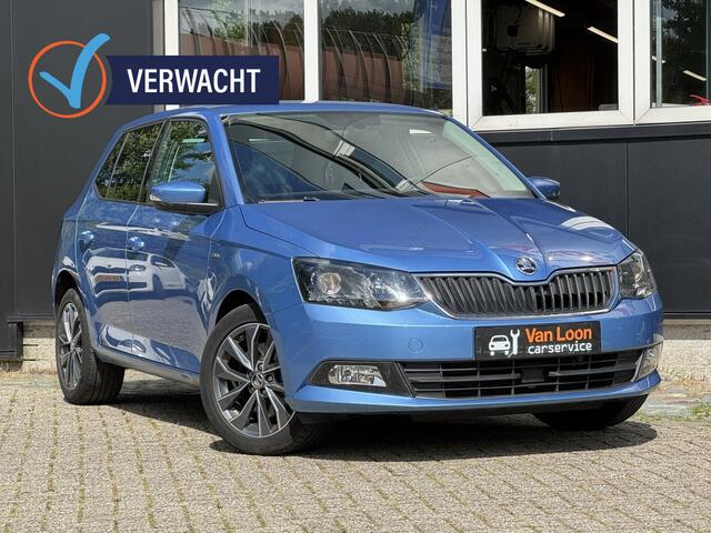 Skoda FABIA 1.0TSI Aut Drive/Stoelverwarm/VERWACHT/Climatecon/Navi/Trekhaak/