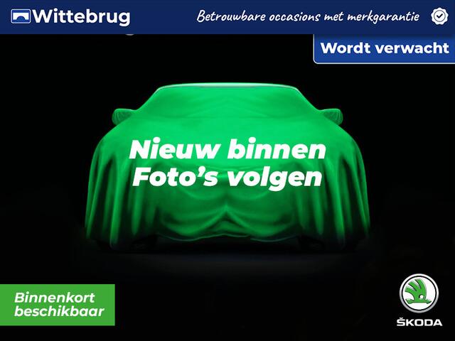 Skoda FABIA 1.0 TSI Business Edition / App connect / Parkeersensoren V+A / Lichtmetaal 15 inch / LED /