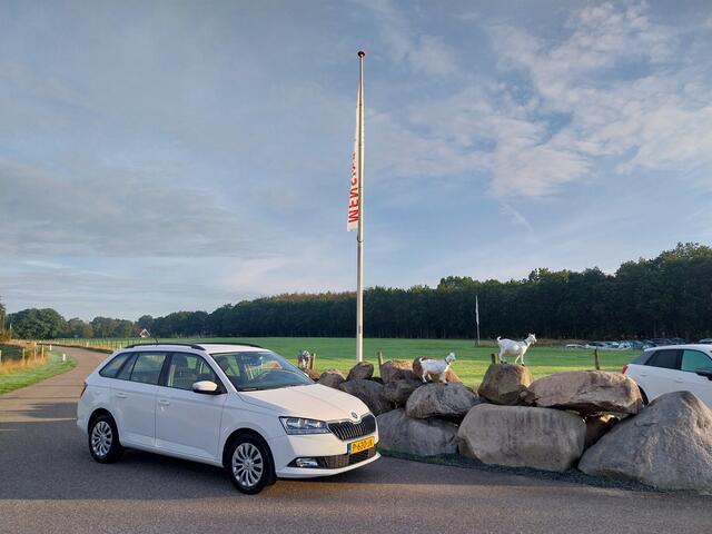 Skoda FABIA Combi 1.0 TSI Ambition 1e EIGENAAR AIRCO CRUISE TREKHAAK LED