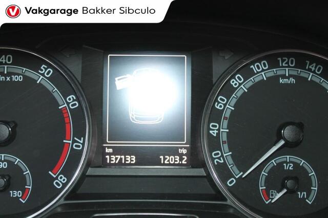 Skoda FABIA 1.0 TSI BUSINESS EDITION AIRCO ANDROIDAUTO/APPLECARPLAY CRUISECONTROLE