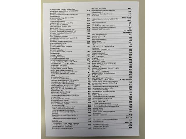 Skoda Kamiq 1.0 TSI DSG 116PK Selection *CAM*CRUISE*APP*KEYL*