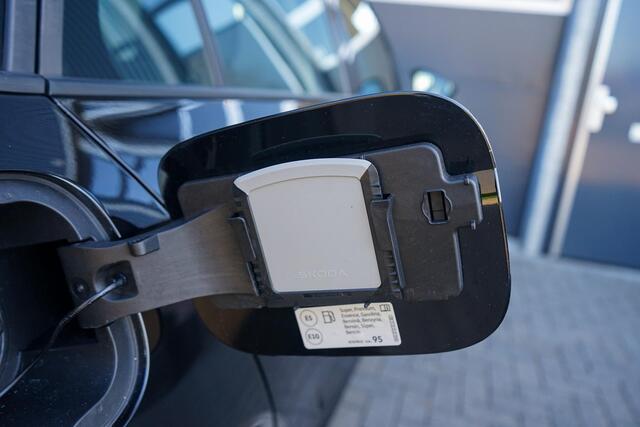 Skoda Kamiq 1.0 TSI Business Edition