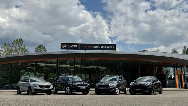Skoda Kamiq 1.0 TSI DSG Business Edition | Apple Carplay/Android Auto | KEYLESS | Cruise Control | Achteruitrijcamera |