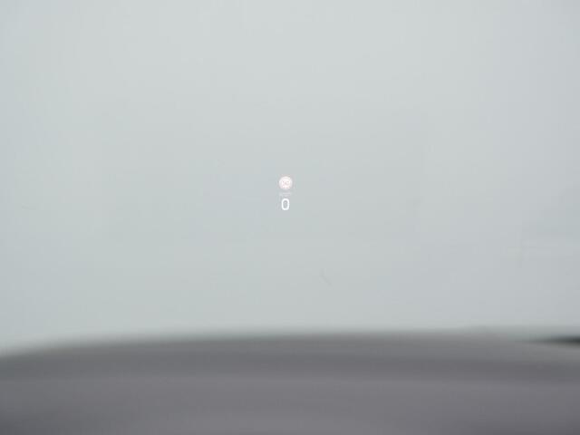 Skoda OCTAVIA Combi 1.4 TSI RS iV 245 pk DSG PHEV Business | Panoramadak | Geheugen-/massagestoelen | Canton | Head-up display | Leder/alcantara | Matrix LED