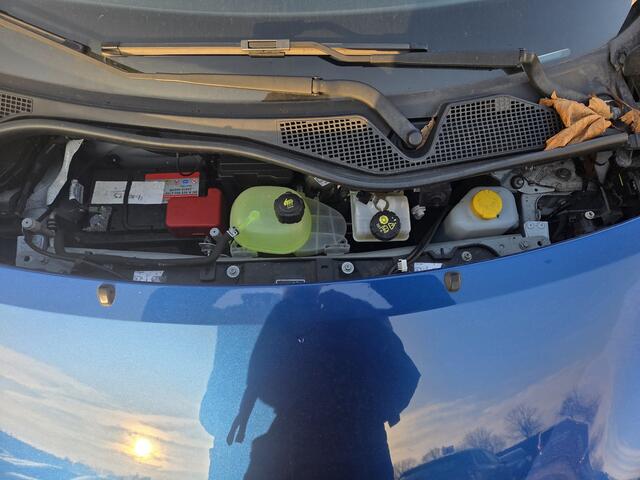 Smart FORFOUR electric drive Business Solution 18 kWh | Nieuw Binnen! | Leder | Cruise | Navi