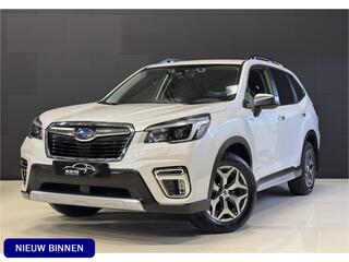 subaru-forester-e-boxer--grijs-ken