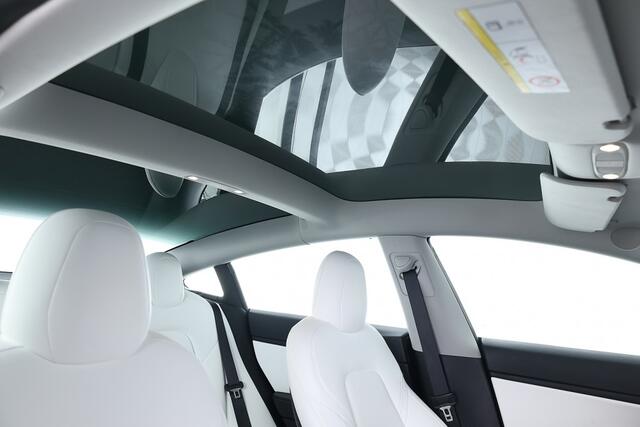 Tesla Model 3 Performance AWD 75 kWh ? 1e Eigenaar