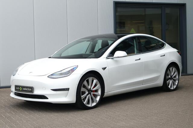 Tesla Model 3 Performance AWD 75 kWh / Panoramadak / Camera
