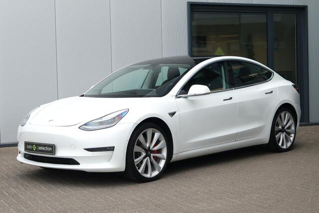Tesla Model 3 Performance AWD 75 kWh / SoH 87,6% / Panoramadak / Camera