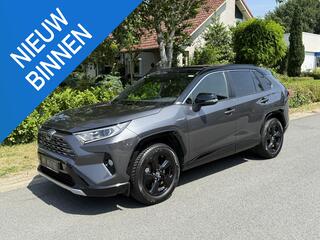 toyota-rav4-2.5-vvt-i-hybrid-bi-ton